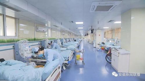 安徽開展省屬公立醫(yī)療機構(gòu)部分常用藥及第二批抗癌藥集中帶量采購議價政策解讀